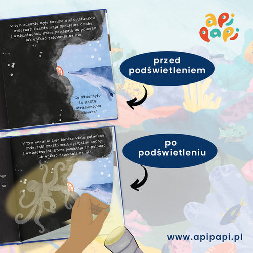 Oceany. Podświetl i Odkryj - Wydawnictwo Api Papi